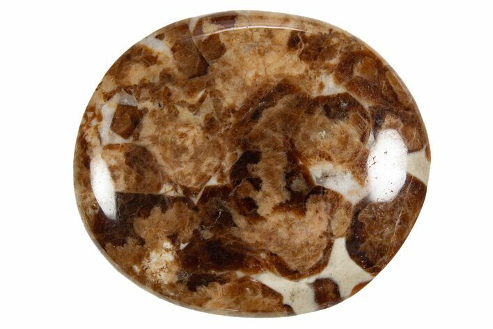 Polished Garnet In Wollastonite Stone - Namibia #343962